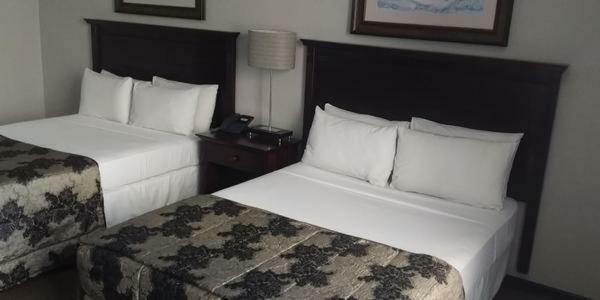 Welkom Inn Екстериор снимка